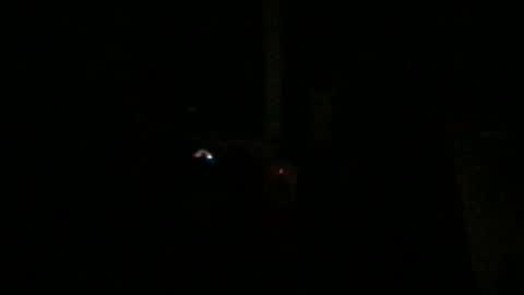 fantasticdeee online show from 01.06.25