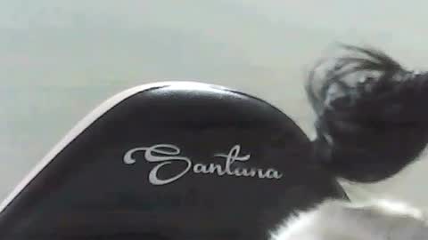 farianna_hot online show from 05.02.26