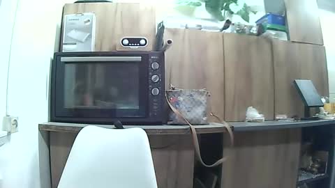 hausewife online show from 05.06.26