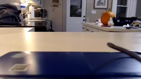 Snapshot of farmgirl__ chatting on 10.11.25 FarmGirl and Daddy online show from 10.11.25