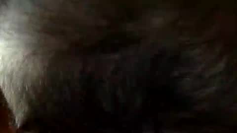 FastStr0ker10 online show from 12.21.25