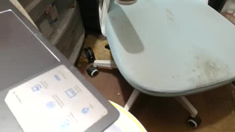 Fred. online show from 11.07.25