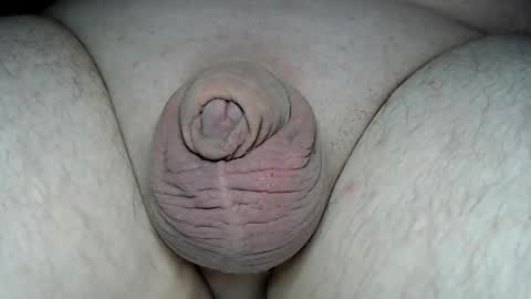 Fatmanscock online show from 03.02.26