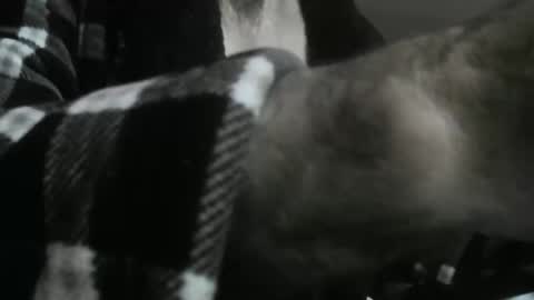 feardubh online show from 10.31.25