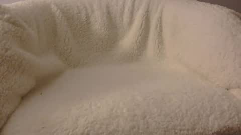 feels_too_good online show from 04.09.26