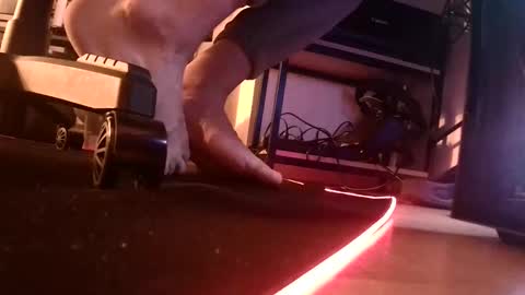 feetishman91 online show from 03.27.26