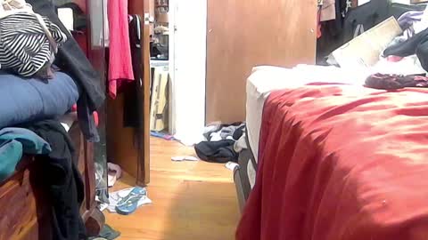 felicitybliss29 online show from 10.16.25