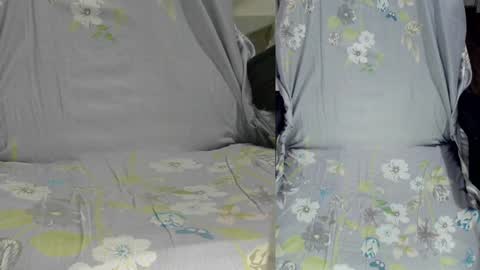 Snapshot of felixlau chatting on 01.14.25 felixlau online show from 01.14.25