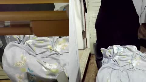 Snapshot of felixlau chatting on 02.17.25 felixlau online show from 02.17.25