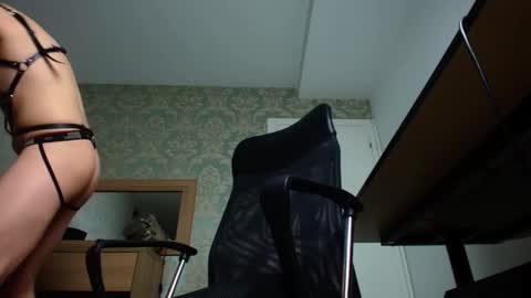 Snapshot of felixstark chatting on 10.20.25 FelixStark online show from 10.20.25