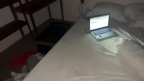 Snapshot of femboydanii chatting on 11.12.25 Dani online show from 11.12.25