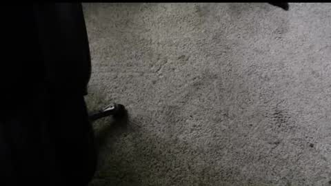 fengshui1982 online show from 11.29.25