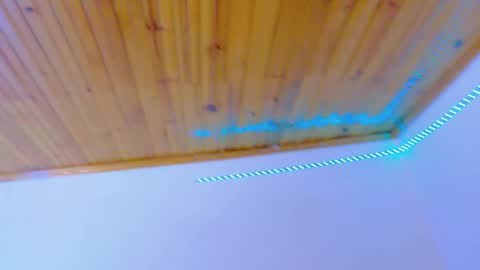 stefannia online show from 02.03.26