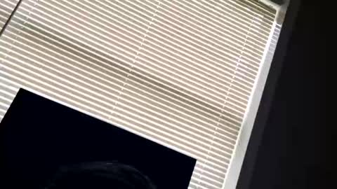 fer28639 online show from 09.24.25