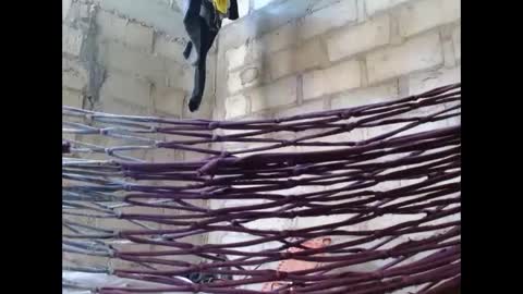 fernandez_latinblack online show from 10.01.25