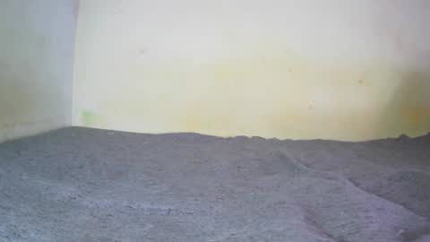 Fern Tlk online show from 12.20.24