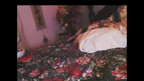 ferra_testarossa online show from 11.05.25