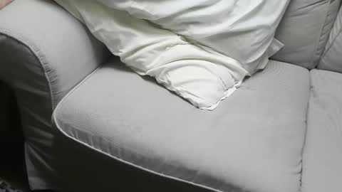 Fid online show from 11.16.25