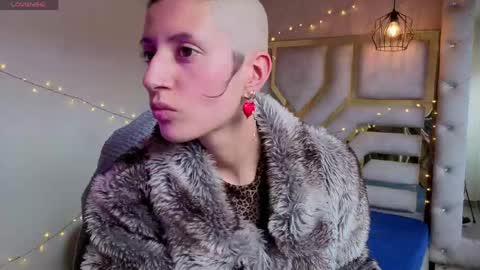   online show from 04.11.26