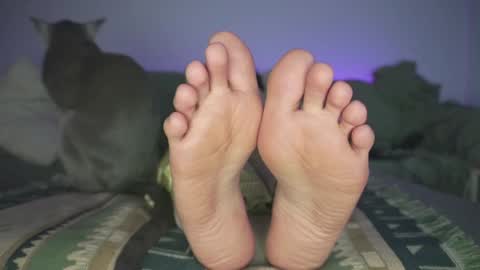 Ashley online show from 12.19.24