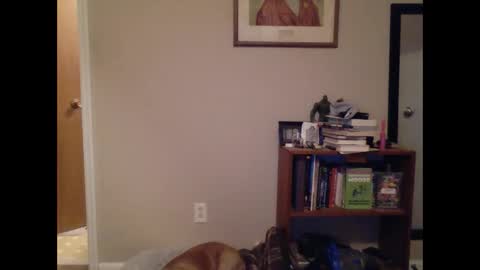 Snapshot of fitbit90 chatting on 03.09.25 FitBit online show from 03.09.25