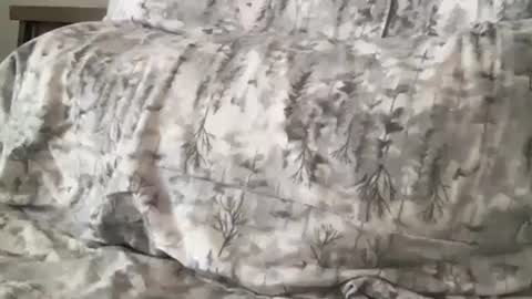 FitCollegeStudxx online show from 02.17.25