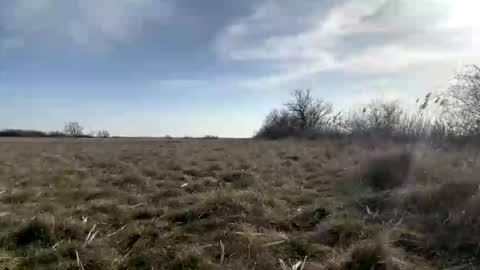 fitgentleman999 online show from 03.08.26