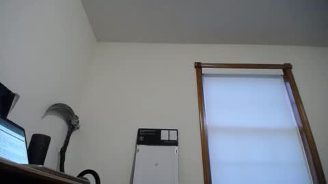  Links in Bio below online show from 11.21.25