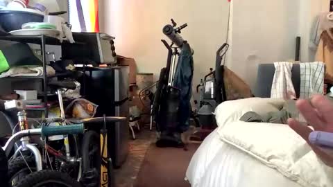 francis keith gibson online show from 01.08.25