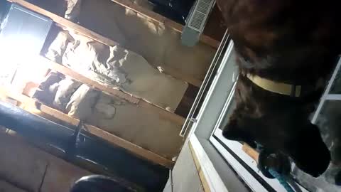 Snapshot of fkmylife6669 chatting on 09.25.25 Nate online show from 09.25.25