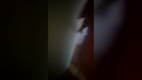 Snapshot of flirtygirlyy chatting on 02.12.26 Ive Retired From Camming online show from 02.12.26