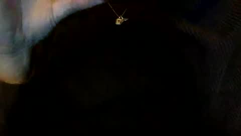 floraexploration online show from 12.23.24