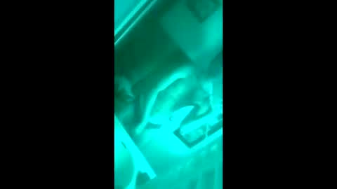 Snapshot of floridaloverboy88 chatting on 09.29.25 floridaloverboy88 online show from 09.29.25