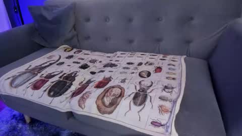 Its a pleasure to meet you. Im Flower. Help me reach 1k. Follow me. online show from 03.07.26