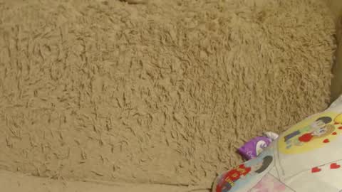 say meow and send tip  online show from 12.26.24