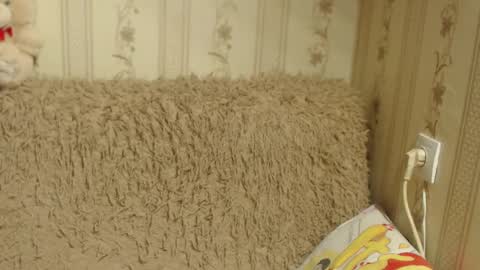 say meow and send tip  online show from 01.17.25