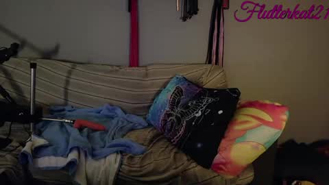 FlutterKat online show from 03.12.26