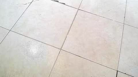 Snapshot of flyckers chatting on 09.13.25 flyckers online show from 09.13.25