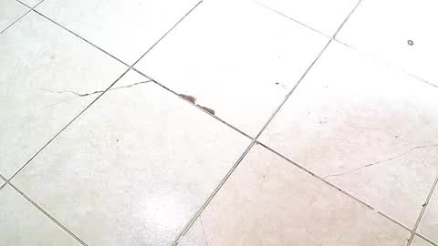 Snapshot of flyckers chatting on 10.06.25 flyckers online show from 10.06.25