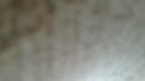 flyn12 online show from 02.21.26