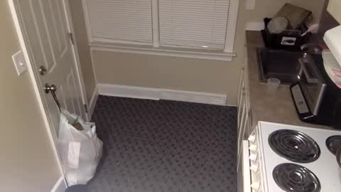 foxdarling96 online show from 12.20.25