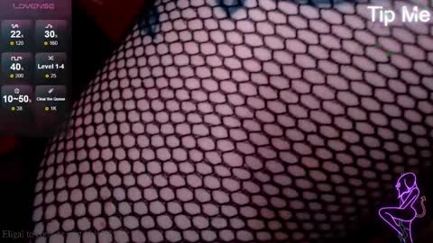 Snapshot of foxrinehelen chatting on 01.12.25 Helen - My streams are Monday - Friday at 8 AM NY time online show from 01.12.25