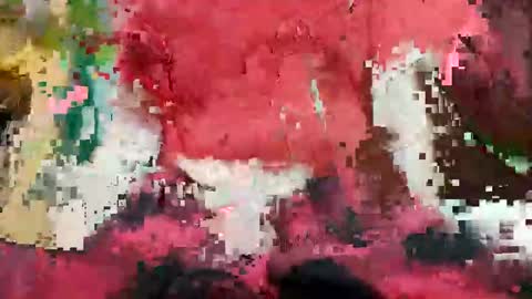 foxycutecock online show from 12.17.24