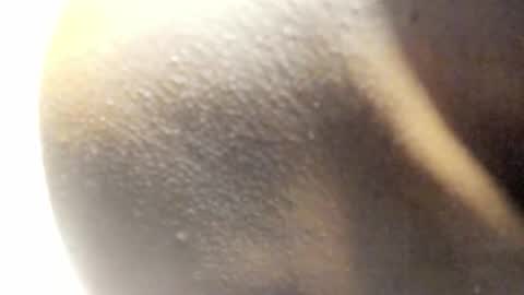 Kandy online show from 03.14.26