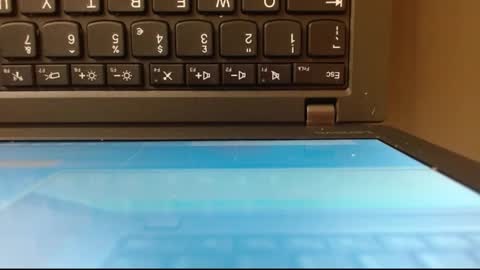 shamika online show from 11.16.25