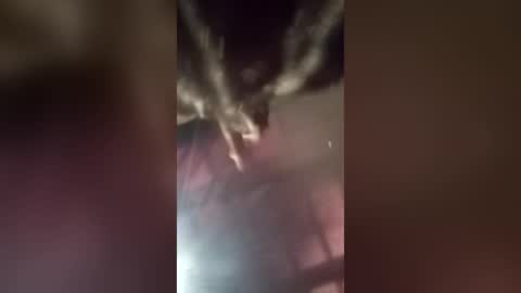 freakyrickyyy6 online show from 06.18.26