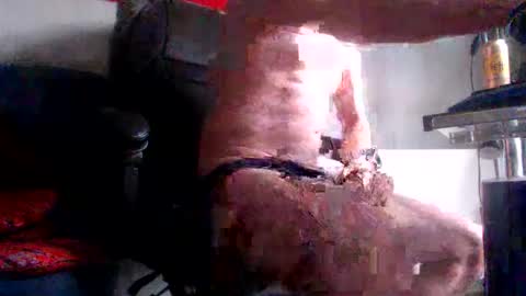 Snapshot of fred1051 chatting on 02.28.26 yo online show from 02.28.26