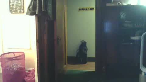 fred_spooner2 online show from 10.25.25