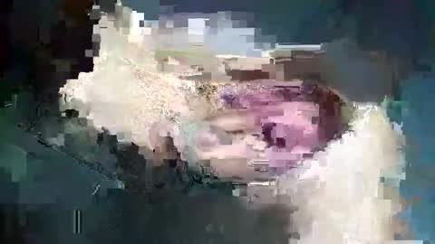 fredddy05 online show from 11.25.25