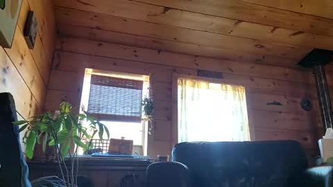 Snapshot of frederickory chatting on 03.01.26 Anderson fz online show from 03.01.26